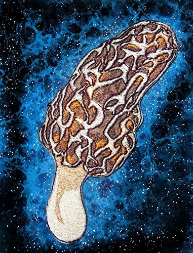 Прекрасна вистинска Морел Морел печурка од печурки на лепенка Шие на апликација извезена шамница
