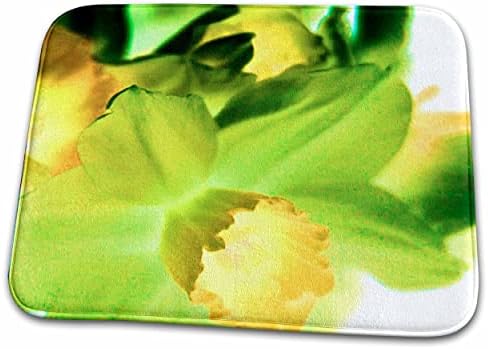 3дроза Зелена Жолта Нарцис Детално-Бања Бања Килим Душеци