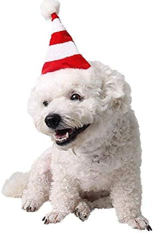Кутре облека Божиќ куче капа домашно милениче симпатична капаче за додатоци за костуми за кученца партија материјали за миленичиња