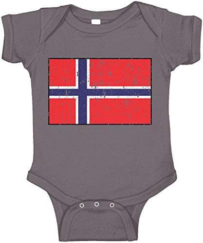 Амдеско Норвешка знаме Норвешко тело за новороденчиња